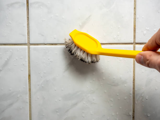 Best Office Mold Removal Services  in Fairfield, CA