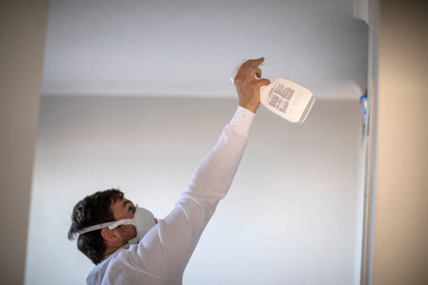 Fairfield, CA Mold Removal Company
