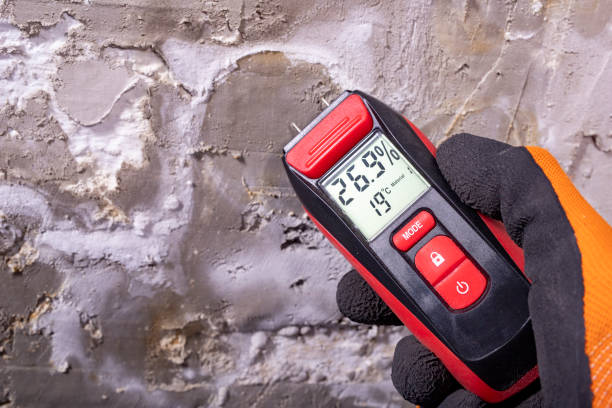 Best Residential Mold Removal  in Fairfield, CA