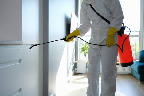 Best Commercial Mold Removal  in Fairfield, CA