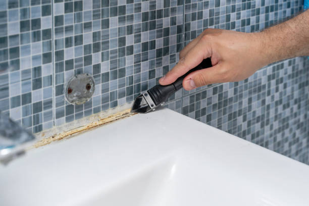 Best Professional Mold Removal  in Fairfield, CA