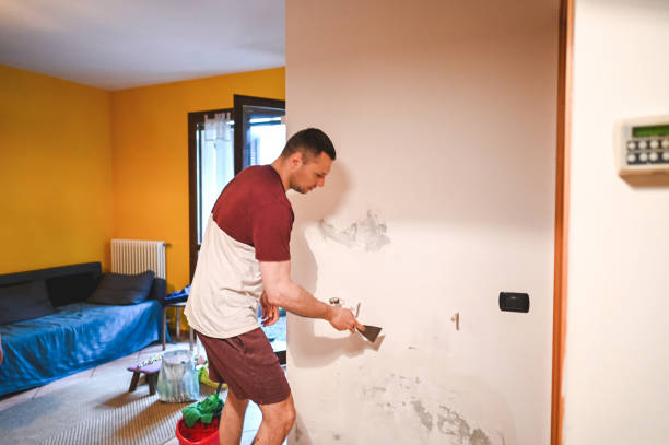 Office Mold Removal Services in Fairfield, CA
