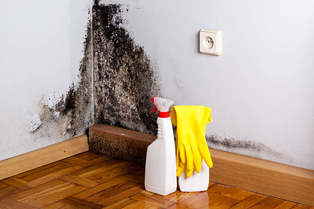 Best Water Damage Restoration  in Fairfield, CA