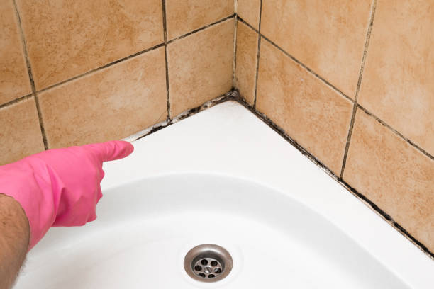Best Emergency Mold Removal  in Fairfield, CA